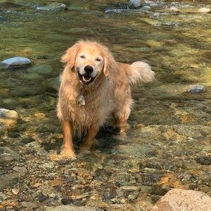 Meet your Posher, Aniko